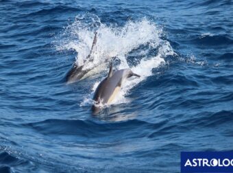 Διάβασε ΔΩΡΕΑΝ την προσωπική σου πρόβλεψη, για σήμερα 26/07/2024