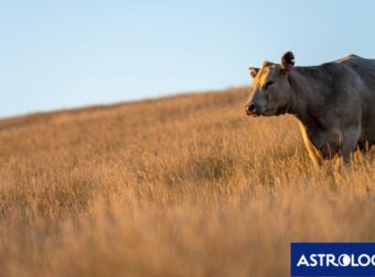 Διάβασε ΔΩΡΕΑΝ την προσωπική σου πρόβλεψη, για σήμερα 10/07/2024