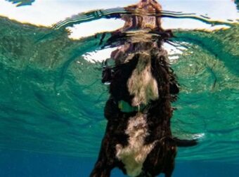 Ζώδια: Τι μας περιμένει σήμερα, Τρίτη 30 Ιουλίου