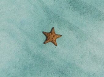 Ζώδια: Τι μας περιμένει σήμερα, Σάββατο 20 Ιουλίου