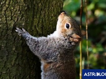 Διάβασε ΔΩΡΕΑΝ την προσωπική σου πρόβλεψη, για σήμερα 22/07/2024