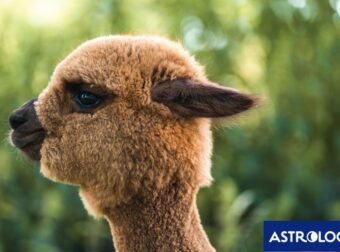 Διάβασε ΔΩΡΕΑΝ την προσωπική σου πρόβλεψη, για σήμερα 08/07/2024