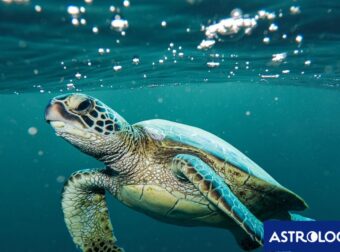 Διάβασε ΔΩΡΕΑΝ την προσωπική σου πρόβλεψη, για σήμερα 12/07/2024