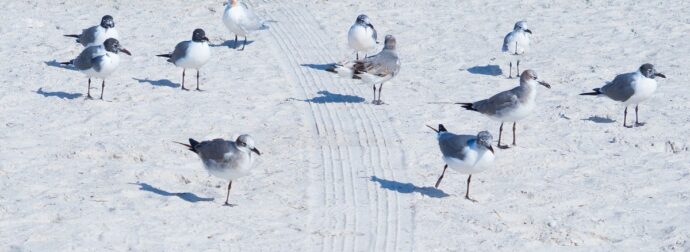 Διάβασε ΔΩΡΕΑΝ την προσωπική σου πρόβλεψη, για σήμερα 06/07/2024