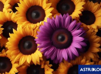 Ζώδια Σήμερα 15/07: Να κάνεις τη διαφορά