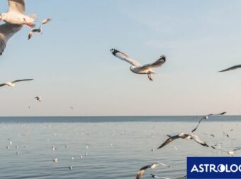 Διάβασε ΔΩΡΕΑΝ την προσωπική σου πρόβλεψη, για σήμερα 30/07/2024