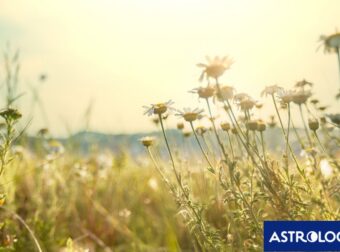 Διάβασε ΔΩΡΕΑΝ την προσωπική σου πρόβλεψη, για σήμερα 01/08/2024