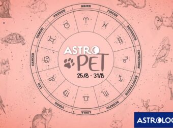 AstroPet από 25/08 έως 31/08: Εβδομαδιαίες προβλέψεις για το κατοικίδιό σου