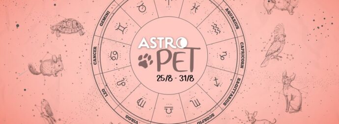AstroPet από 25/08 έως 31/08: Εβδομαδιαίες προβλέψεις για το κατοικίδιό σου