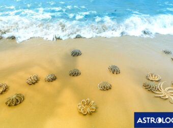 Διάβασε ΔΩΡΕΑΝ την προσωπική σου πρόβλεψη, για σήμερα 28/08/2024