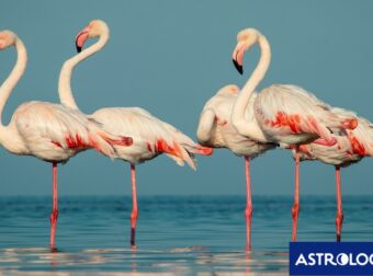 Διάβασε ΔΩΡΕΑΝ την προσωπική σου πρόβλεψη, για σήμερα 18/08/2024