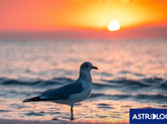 Διάβασε ΔΩΡΕΑΝ την προσωπική σου πρόβλεψη, για σήμερα 14/08/2024