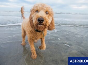 Διάβασε ΔΩΡΕΑΝ την προσωπική σου πρόβλεψη, για σήμερα 30/08/2024