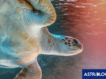 Διάβασε ΔΩΡΕΑΝ την προσωπική σου πρόβλεψη, για σήμερα 26/08/2024