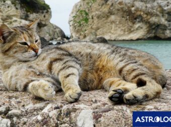 Διάβασε ΔΩΡΕΑΝ την προσωπική σου πρόβλεψη, για σήμερα 16/08/2024