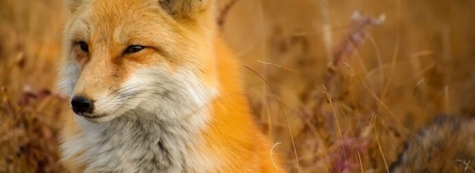 Διάβασε ΔΩΡΕΑΝ την προσωπική σου πρόβλεψη, για σήμερα 06/08/2024