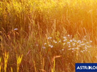Διάβασε ΔΩΡΕΑΝ την προσωπική σου πρόβλεψη, για σήμερα 13/08/2024