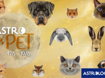 AstroPet από 04/08 έως 10/08: Εβδομαδιαίες προβλέψεις για το κατοικίδιό σου