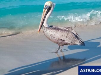 Διάβασε ΔΩΡΕΑΝ την προσωπική σου πρόβλεψη, για σήμερα 24/08/2024