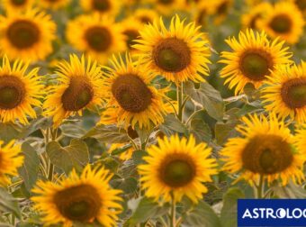 Διάβασε ΔΩΡΕΑΝ την προσωπική σου πρόβλεψη, για σήμερα 21/08/2024