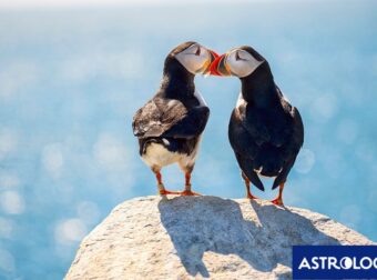 Διάβασε ΔΩΡΕΑΝ την προσωπική σου πρόβλεψη, για σήμερα 08/08/2024