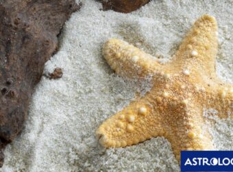 Διάβασε ΔΩΡΕΑΝ την προσωπική σου πρόβλεψη, για σήμερα 22/08/2024
