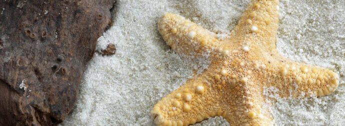 Διάβασε ΔΩΡΕΑΝ την προσωπική σου πρόβλεψη, για σήμερα 22/08/2024