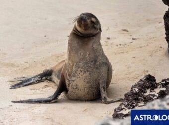 Διάβασε ΔΩΡΕΑΝ την προσωπική σου πρόβλεψη, για σήμερα 12/08/2024