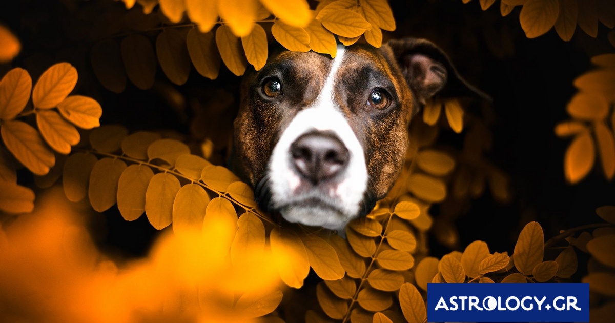 Διάβασε ΔΩΡΕΑΝ την προσωπική σου πρόβλεψη, για σήμερα 16/09/2024