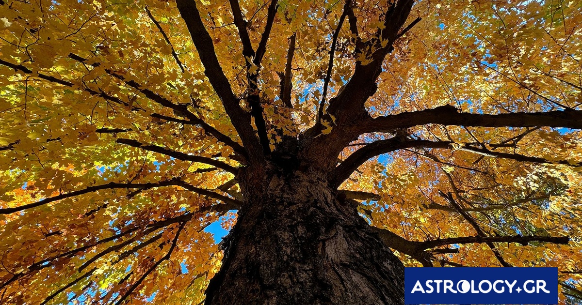 Διάβασε ΔΩΡΕΑΝ την προσωπική σου πρόβλεψη, για σήμερα 17/09/2024