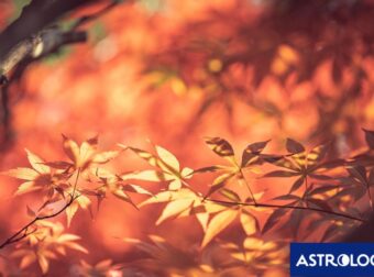 Διάβασε ΔΩΡΕΑΝ την προσωπική σου πρόβλεψη, για σήμερα 05/09/2024