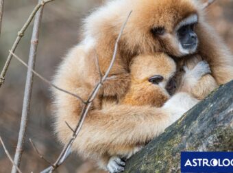Διάβασε ΔΩΡΕΑΝ την προσωπική σου πρόβλεψη, για σήμερα 08/09/2024