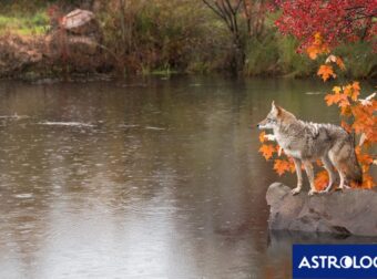 Διάβασε ΔΩΡΕΑΝ την προσωπική σου πρόβλεψη, για σήμερα 20/09/2024