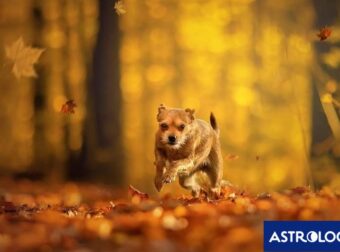 Διάβασε ΔΩΡΕΑΝ την προσωπική σου πρόβλεψη, για σήμερα 26/09/2024