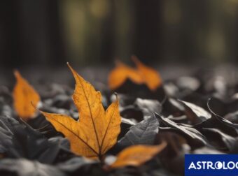 Διάβασε ΔΩΡΕΑΝ την προσωπική σου πρόβλεψη, για σήμερα 23/09/2024