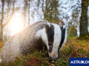 Διάβασε ΔΩΡΕΑΝ την προσωπική σου πρόβλεψη, για σήμερα 10/09/2024