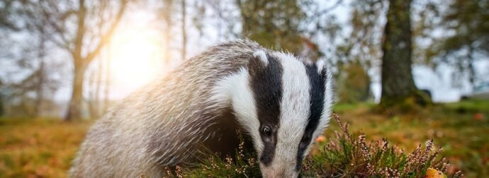 Διάβασε ΔΩΡΕΑΝ την προσωπική σου πρόβλεψη, για σήμερα 10/09/2024