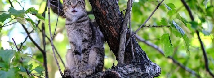 Δύο ζώδια θα κινηθούν με βάση το ένστικτό τους, σήμερα, 08/09