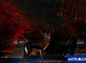Διάβασε ΔΩΡΕΑΝ την προσωπική σου πρόβλεψη, για σήμερα 14/09/2024