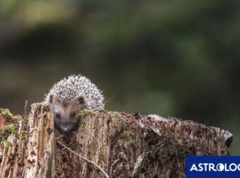 Διάβασε ΔΩΡΕΑΝ την προσωπική σου πρόβλεψη, για σήμερα 06/09/2024