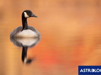 Διάβασε ΔΩΡΕΑΝ την προσωπική σου πρόβλεψη, για σήμερα 02/09/2024