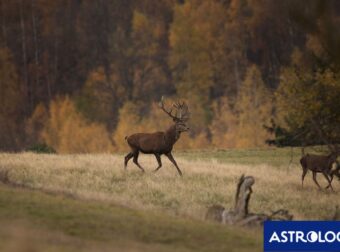 Διάβασε ΔΩΡΕΑΝ την προσωπική σου πρόβλεψη, για σήμερα 24/09/2024