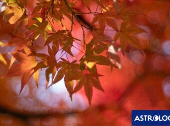 Διάβασε ΔΩΡΕΑΝ την προσωπική σου πρόβλεψη, για σήμερα 29/09/2024