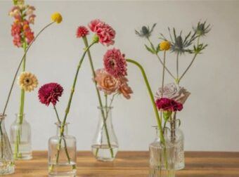 Ζώδια: Τι μας περιμένει σήμερα, Τετάρτη 11 Σεπτεμβρίου