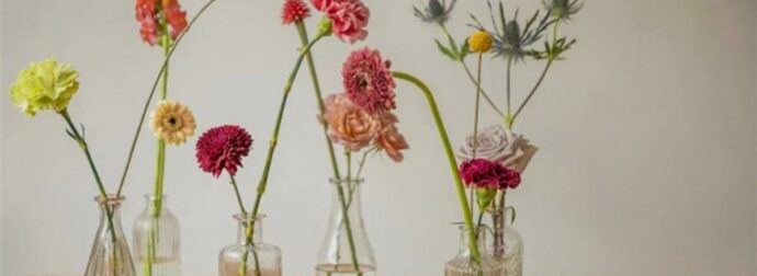 Ζώδια: Τι μας περιμένει σήμερα, Τετάρτη 11 Σεπτεμβρίου