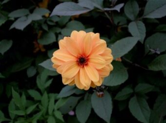 Ζώδια: Τι μας περιμένει σήμερα, Πέμπτη 26 Σεπτεμβρίου