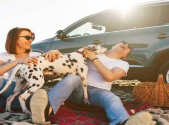 Τα ζώδια και πώς υπονομεύουν μόνα τους την ευτυχία τους!