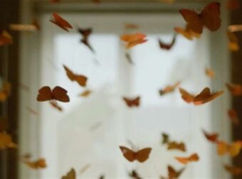 Ζώδια 1/9: Πως ξεκινάει ο Σεπτέμβριος;