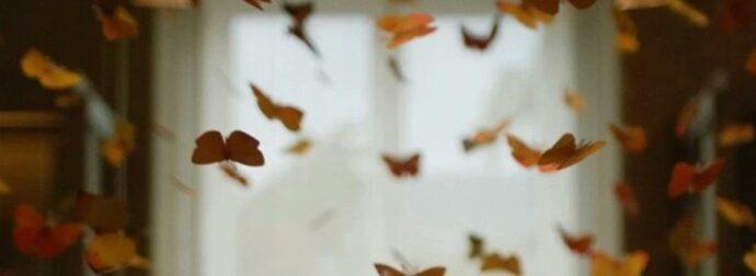 Ζώδια 1/9: Πως ξεκινάει ο Σεπτέμβριος;