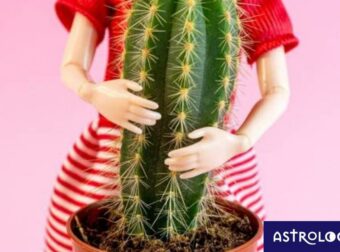 Τα τέσσερα ζώδια που εξιδανικεύουν τις τοξικές τους σχέσεις